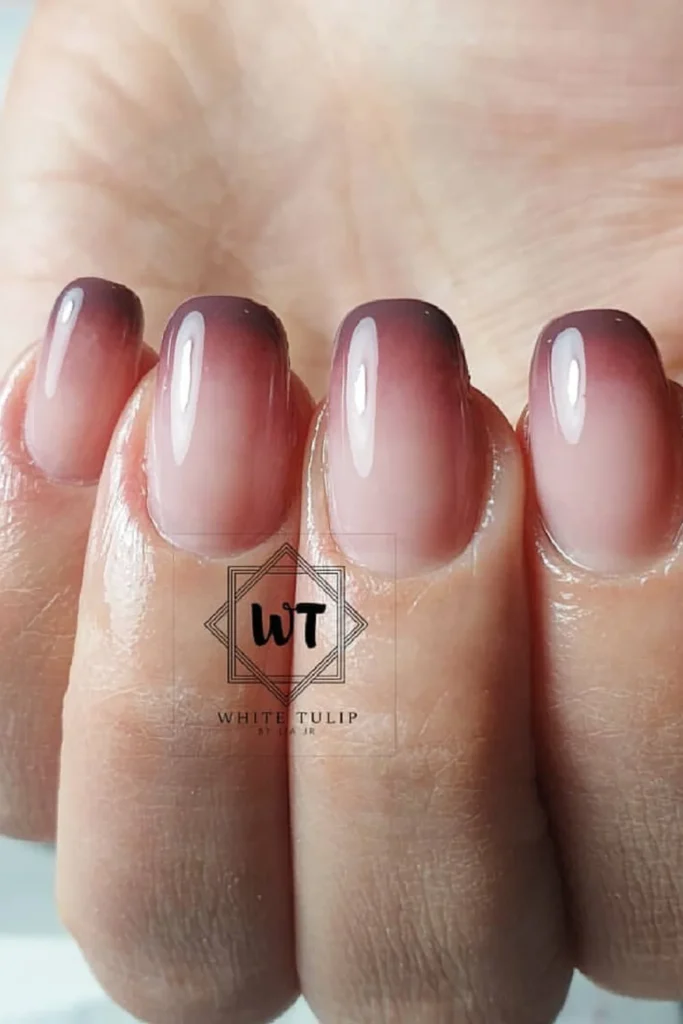 Burgundy Ombre
