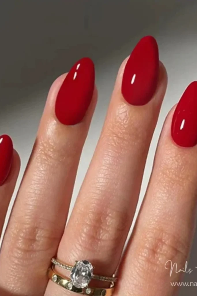 Classic Red Elegance