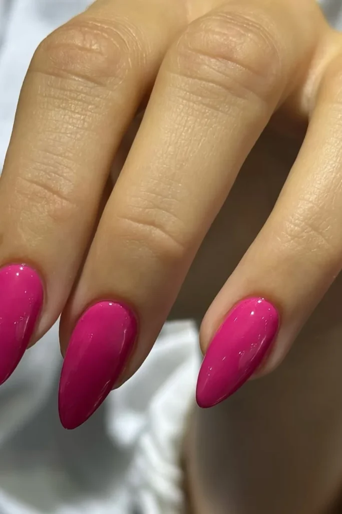 Fuchsia Fun_ A Bold Statement