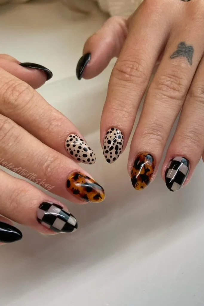 Geometric Tortoise Shapes
