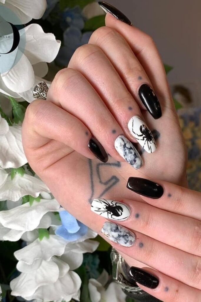 Spider and Web Art Nails