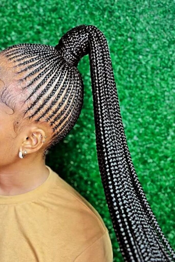 Braided Ponytail