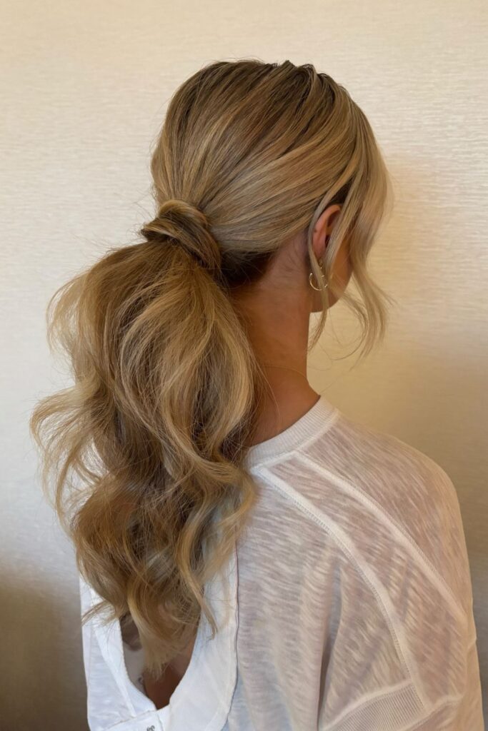 Sleek Low Ponytail